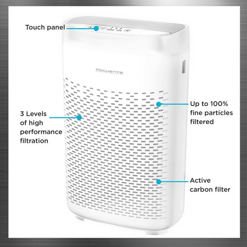 Rowenta Air Purifier with HEPA Filter Wayfair
